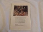 Hartogh, Nicky / Smit, Daan - FLORA IN FOCUS - BOTANISCHE TUINEN - BAROKKE TUINEN - TROPISCHE TUINEN