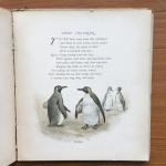Wood, Helen J. and Thompson, G.H. (ills.) - Funny Friends Humorous Stories of Animals, with Verses