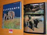 Kunkel, Reinhard - Elephants