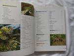 Dost, U. - Het grote terrariumboek - inrichting - planten - dieren. Terrarium boek
