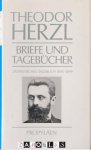 Theodor Herzl - Briefe und Tagebücher 2. Zionistisches Tagebuch 1895 - 1899
