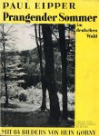 Eipper, P. - Prangender Sommer im deutschen Wald