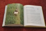 Brinkkemper, Joop / Moedt, Oene - Kijken naar weidevogels Brinkkemper, Joop / Moedt, Oene - Kijken naar weidevogels
