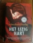 Grandes, Almudena - Het ijzig hart