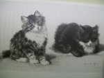 Henriette Ronner en Cri Stellweg - Twee Twee vrouwen over katten [ met prachtige tekeningen v. Henriette Ronner, naar het boek uit 1891]