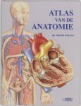 A. Smink - Atlas Van De Anatomie