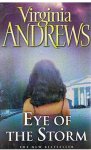 Andrews, Virginia - Eye of the storm - volume 3 in the Hudson series
