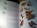 Dunn, Jon L & J Alderfer - National Geographic illustrated Birds of North America - Folio Edition Dunn, Jon L & J Alderfer - National Geographic illustrated Birds of North America - Folio Edition