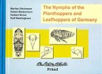 Marlies Stöckmann - The Nymphs of the Planthoppers and Leafhoppers of Germany