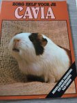 Hearne, T. - Twee boekjes; Zorg zelf voor je cavia