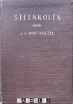 J.J. Bootsgezel - Steenkolen, haar ontstaan en bereiding tot marktproduct en nevenproducten