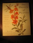 Campbell-Culver, M. - The origin of Plants.