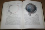 Werner Spalteholz - Handatlas der Anatomie des Menschen — Band 3. Eingeweide, Gehirn, Nerven, Sinnesorgane