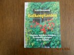 Markmann - Balkonplanten / druk 1