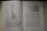 Raspe, R.E. - bellettrie: DE WONDERBAARLIJKE AVONTUREN VAN BARON VAN MUNCHHAUSEN  vertaald en ingeleid door GODFRIED BOMANS  Geillustreerd door GUSTAVE DORE