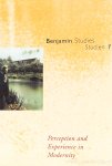 BENJAMIN, W., GEYER-RYAN, H., KOOPMAN, P., YNTEMA, K., (EDS.) - Perception and experience in modernity