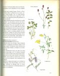 Triska Jan en A.A. Kruyne   Grafische vormgeving V. Smerda  met Fotos van B. Evenhuis  en J.G. Nieuwendijk - Flora van europa