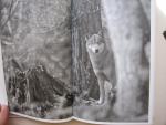 Elli H. Radinger - De wijsheid van wolven / Hoe ze denken, leidinggeven en voor elkaar zorgen: wat de wolf ons kan leren over mens zijn