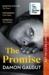 Damon Galgut - (1) The Promise