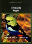 Bouland, Girgitta ea. - Tropische Vogels