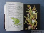 Baumann, Helmut und Siegfried Künkele. - Die wildwachsenden Orchideen Europas. Mit 249 Farbbildern und 191 Verbreitungskarten.