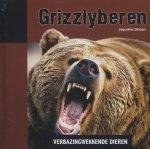 Jacqueline Dineen - Verbazingwekkende dieren - Grizzlyberen