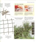 Feltwell John  tekst  en de  Illustrator  is Neil  Sutherland   Met vertaling  van Martina Hop - Klim- en leiplanten   De stap voor Stap  Gids