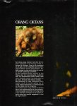 rijksen, herman & ans - orang oetans de laatste bosmensen ?