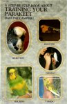 Darlene Campbell, Elaine Radford, J. Darlene Campbell - A Step-by-step Book about Training Your Parakeet