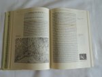 Kapp, Volker (Hrsg.) - Unter Mitarbeit von Hans Felten, Frank-Rutger Hausmann, Franca Janowski u.a. - Italienische Literaturgeschichte  Literatur geschichte