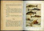 HEYDE, Bertha - Die kleine Puppenköchin. Praktische Anleitung zum Kochen. Mit (4) farbigen tafeln und Textillustrationen.