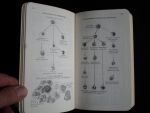 Krupp, M.A. & N.J.Sweet, E.Jawetz, E.G.Bigueri - Physician's Handbook
