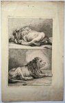 RIDINGER, JOHANN ELIAS, - Two lions