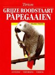 H. Pinter - Grijze Roodstaart Papegaaien