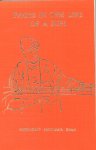 Musharaff Moulamia Khan - Pages in the life of a sufi