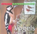 Lambert, Mike & Alan Pearson - Atrium natuurgidsen: vogels