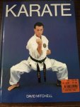 David Mitchell - Karate
