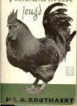 Roothaert, Mr. A. - Vlimmens tweede jeugd