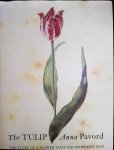 Anna Pavord - The Tulip The Story of a Flower That Has Made Men Mad
