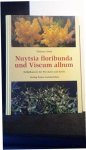 G?bel, Thomas, - Nuytsia floribunda und Viscum Album.