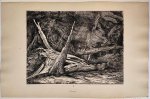 Jacobus Ludovicus Cornet (1815-1882) - Antique print, etching | 'Orage' (onweersbui), published ca. 1850, 1 p.