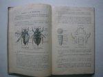 Libraire generale de l'enseignement libre - Sciences naturelles: zoologie et botanique, par une réunion de professeurs