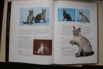 Esther Verhoef - De grote katten encyclopedie