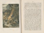 Andriessen, P.J. - De Hollandsche Robinson Crusoë. Een leerzaam en prettig verhaal voor de Nederlandsche jeugd, Met platen. (Robinsonade)