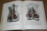 Werner Spalteholz - Handatlas der Anatomie des Menschen — Band 3. Eingeweide, Gehirn, Nerven, Sinnesorgane