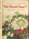 Kosch, A. en  Drs J.R. Müller, en Jos Ruting - Wat bloeit daar? Lijsten voor het bepalen van meer dan 600 belangrijke planten naar de bloei