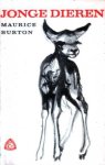 Burton, Maurice - Jonge dieren. Hun groei en ontwikkeling