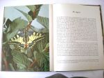 Roepke, Prof.Dr.W.C., bewerking - De mooiste vlinders