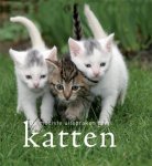 De G. Ley - De mooiste uitspraken over katten