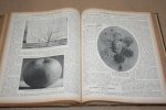 Schneider & Roth - Der Lehrmeister im Garten und Kleintierhof  -- Illustrierte Wochennzeitschrift für Obst-, Gartenbau und Blumpflege, sowie für Geflügel-, Hunde-, Kaninchen-, Schweine-, ziegen-, Fisch- und Bienenzucht, Aquarien- und Terrarienkunde  7. Jahrgang - 1913